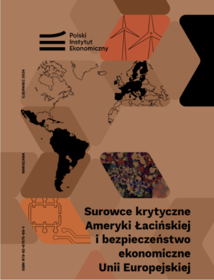 okładka raportu B. Michalskiego dla PIE